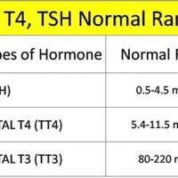 Tsh Normal Values Chart