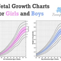 Twins Average Fetal Length And Weight Chart