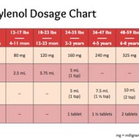 Tylenol 160 Mg 5ml Dosage Chart