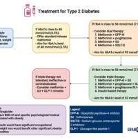 Type 2 Diabetes Medication Flowchart