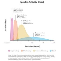 Types Of Insulin Chart