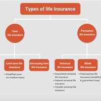 Types Of Life Insurance Chart