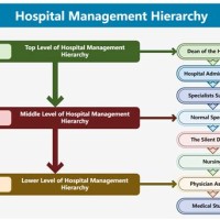 Typical Hospital Anizational Chart