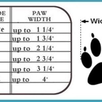 Ultra Paws Dog Boots Size Chart