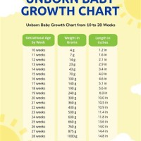 Unborn Baby Weight Growth Chart