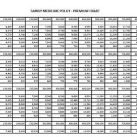 United India Insurance Health Policy Premium Chart