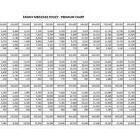 United India Insurance Individual Health Policy Premium Chart