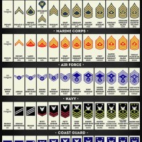 United States Military Ranks Chart