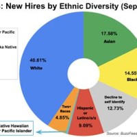 United States Race Pie Chart 2020