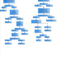 Unknown Bacterial Identification Flowchart