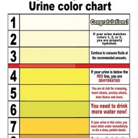 Urine Sugar Color Chart