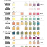 Urine Test Strips Color Chart Pregnancy