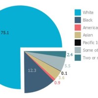 Us Racial Demographics 2020 Pie Chart In Excel