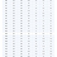 Us Shoe Sizing Chart In Inches