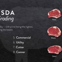 Usda Meat Grading Chart