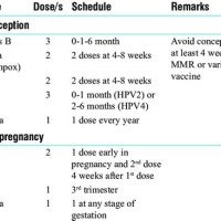 Vaccination Chart During Pregnancy In India