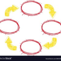 Vector Flow Chart Circle