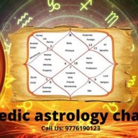 Vedic Birth Chart Life Predictions