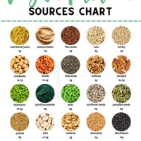 Vegan Protein Sources Chart