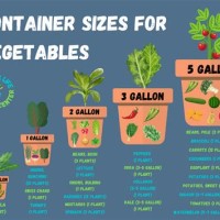 Vegetable Root Depth Chart Container