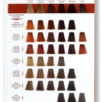 Vegetal Hair Colour Chart