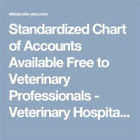 Veterinary Clinic Chart Of Accounts