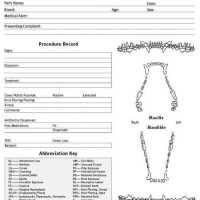 Veterinary Dental Charting Forms