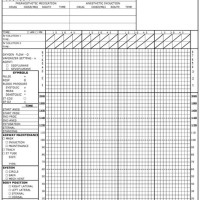 Veterinary Emergency Monitoring Chart