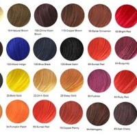 Via Hair Color Chart