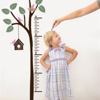 Wall Growth Chart For Toddlers