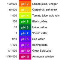 Water Ph Level Chart