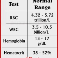 Wbc Count Normal Range Chart