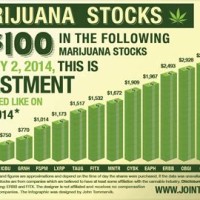 Weed To Stock Chart