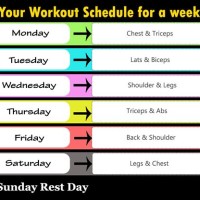 Weekly Gym Workout Plan Chart