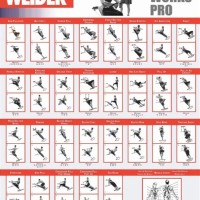 Weider 8630 Exercise Chart