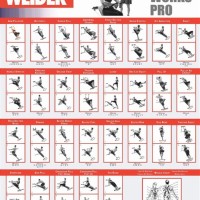 Weider Pro 4300 Home Gym Exercise Chart