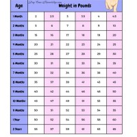 Weight Chart For Female Golden Retriever