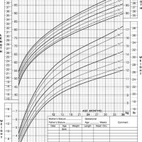 Weight Chart Male 0 36 Months