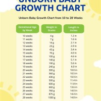 Weight Percentile Chart For Unborn Babies