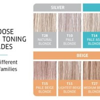 Wella Charm Toner Color Chart