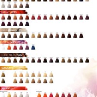 Wella Color Touch Chart 2022