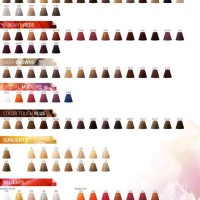 Wella Color Touch Demi Permanent Hair Chart