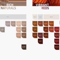 Wella Koleston Perfect Me Shade Chart