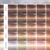 Wella Professional Hair Color Chart