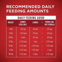 Wet Dog Food Feeding Chart