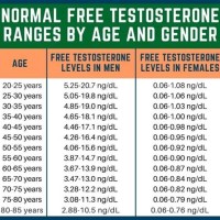 What Are Normal Testosterone Levels Chart