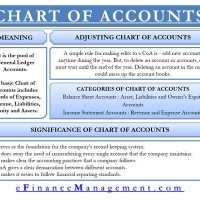 What Chart Of Accounts Means