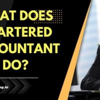 What Does A Chartered Accountant Do Uk