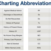 What Does Charting Mean In Medicine