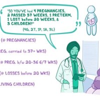 What Does Charting Mean In Pregnancy